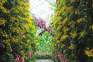 高知県立 牧野植物園