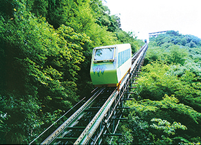 和の宿 ホテル祖谷温泉