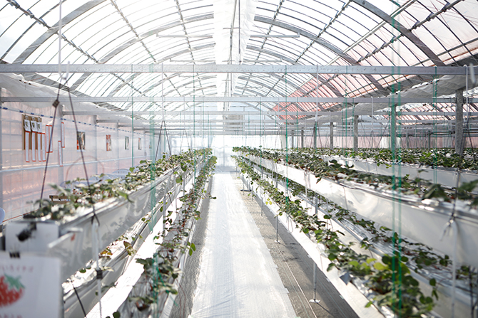 Berry Park いずみの