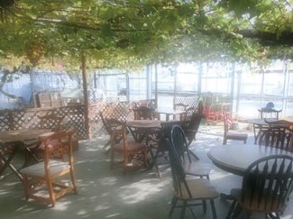 里の駅広川くだもの村