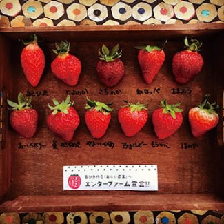 よかもんいちご