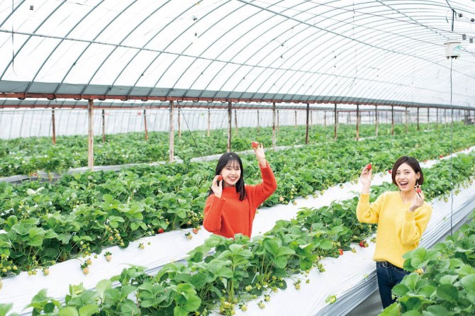 里の駅広川くだもの村