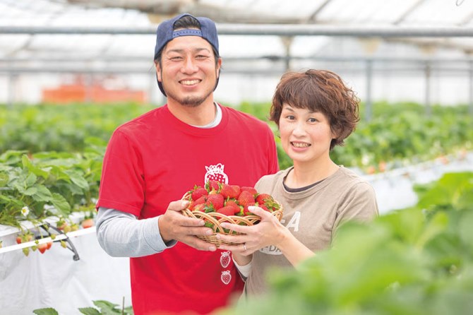 南いちご農園
