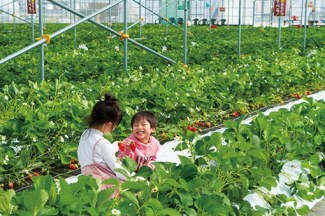 観光農園 ラ・フレーズ