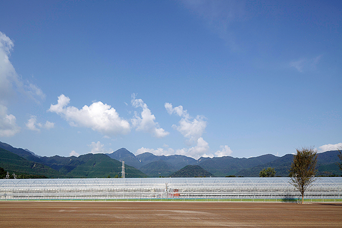 アクアイグニス「TSUJIGUCHI FARM」