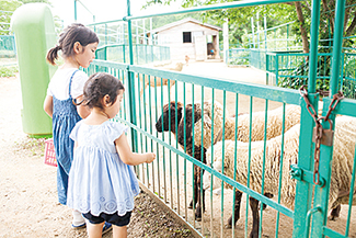 五桂池ふるさと村 いちご狩り園
