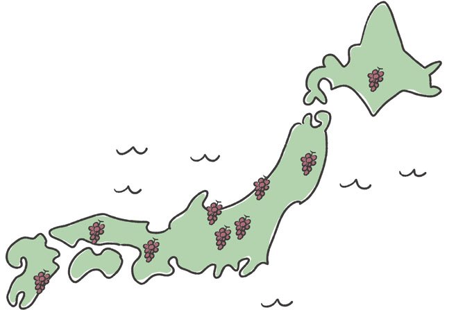 ワイナリー急増!