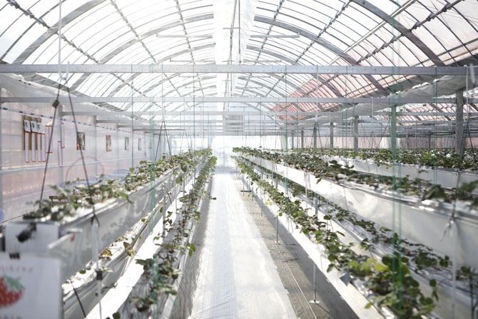 Berry Park いずみの