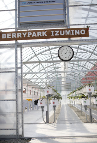 Berry Park いずみの