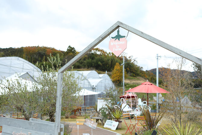 Strawberry Farm No.15