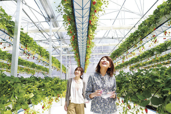 グリナリウム淡路島