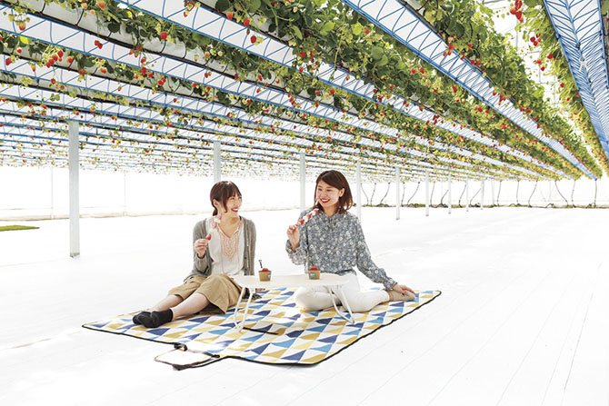 グリナリウム淡路島