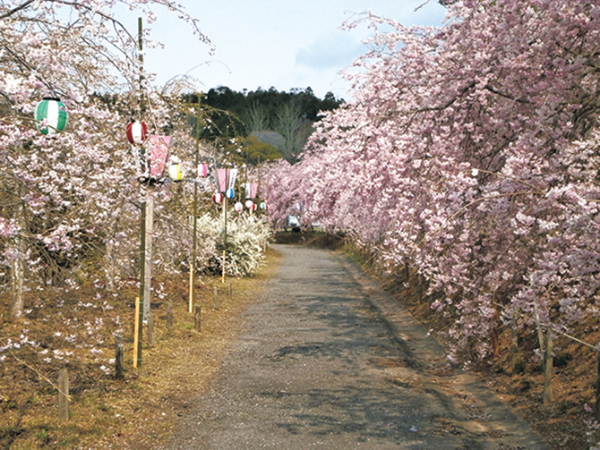 たけべの森公園