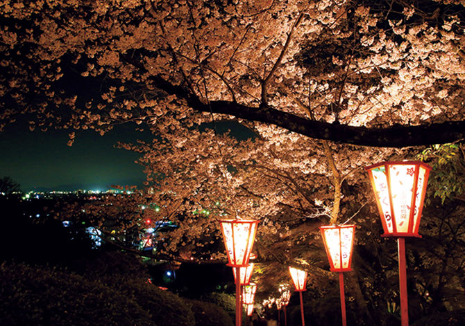 岡山市半田山植物園