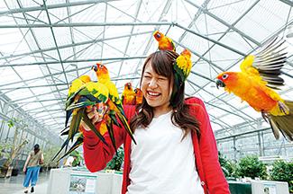 掛川花鳥園