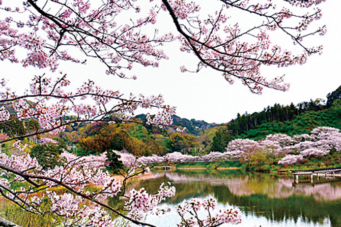 佐久間ダム湖親水公園