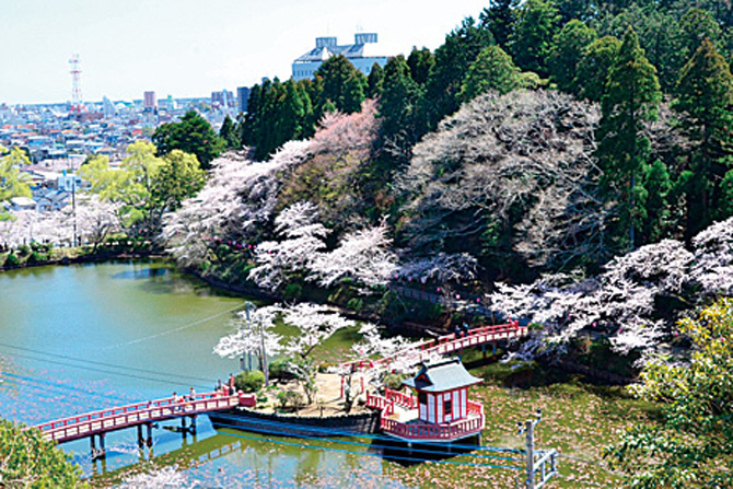 茂原公園