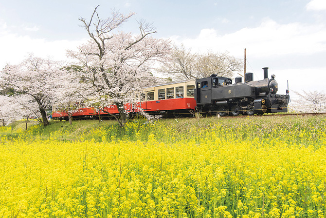 小湊鉄道飯給駅