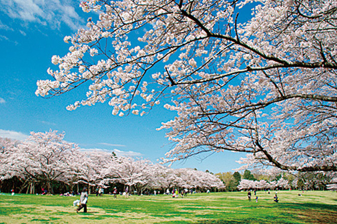 泉自然公園