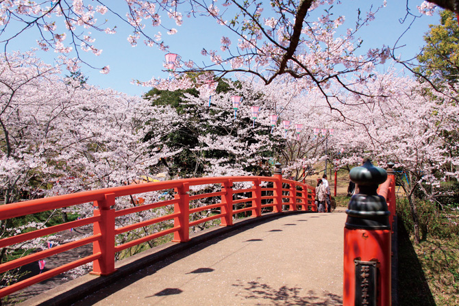 小見川城山公園