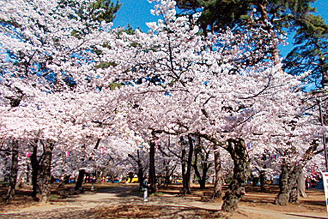 大宮公園