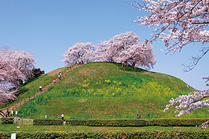 さきたま古墳公園