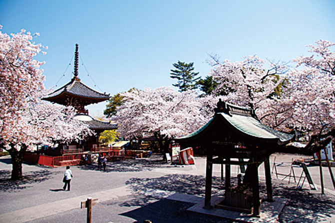 喜多院