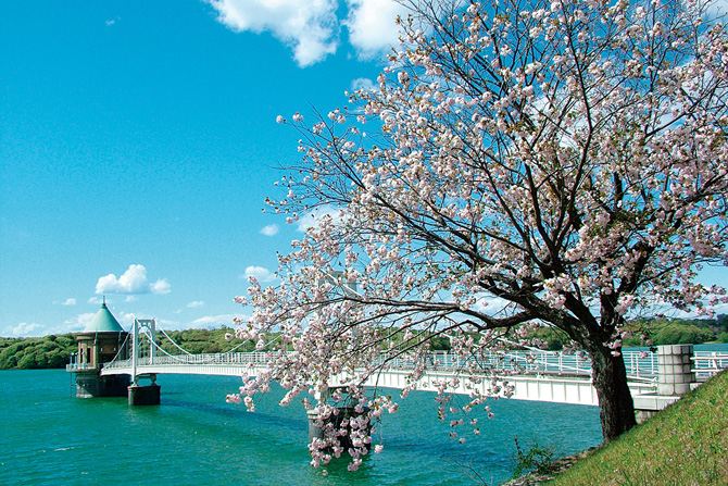 埼玉県立狭山自然公園