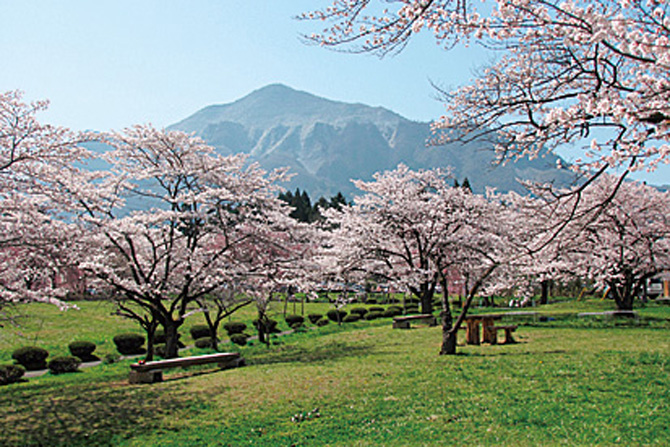 羊山公園
