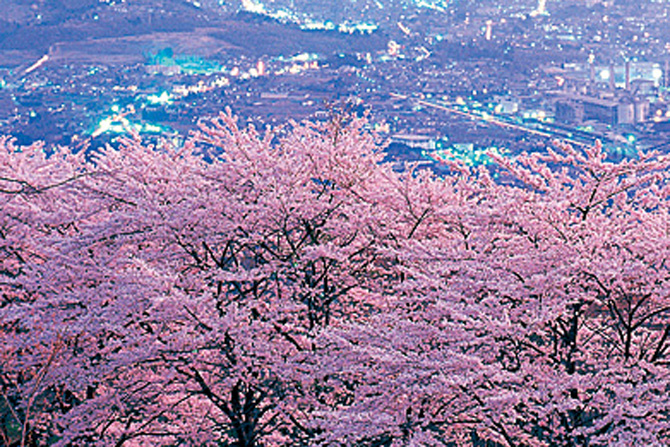 美の山公園