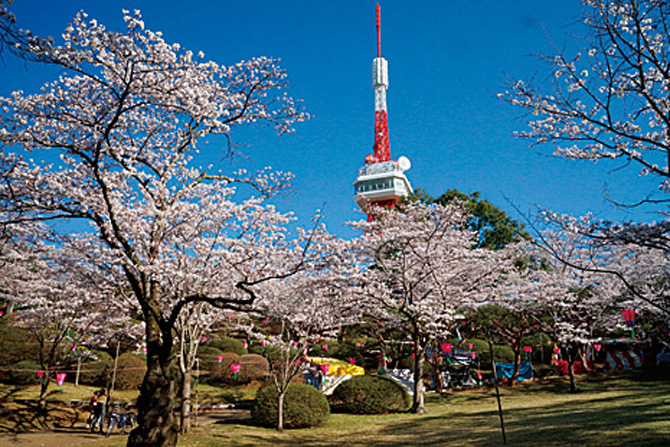 八幡山公園