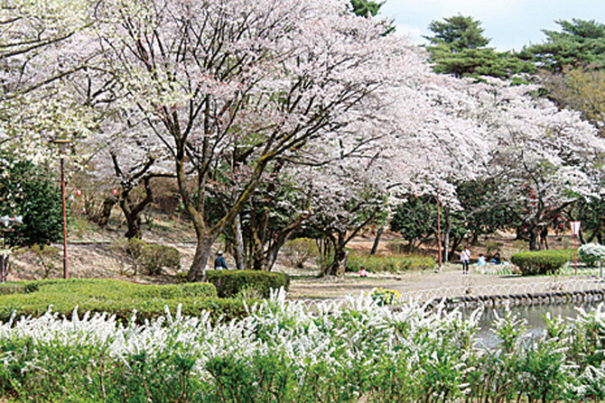 鳥ヶ森公園