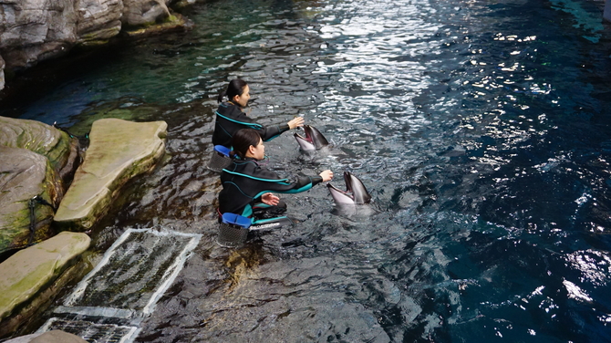 海遊館