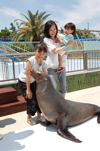 南知多ビーチランド