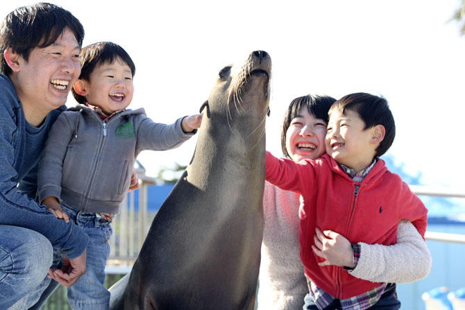 南知多ビーチランド