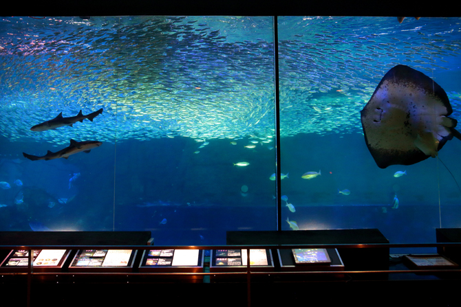 南知多ビーチランド