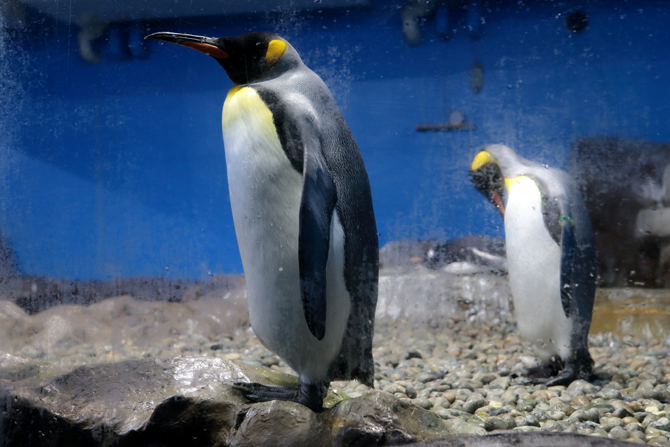 南知多ビーチランド