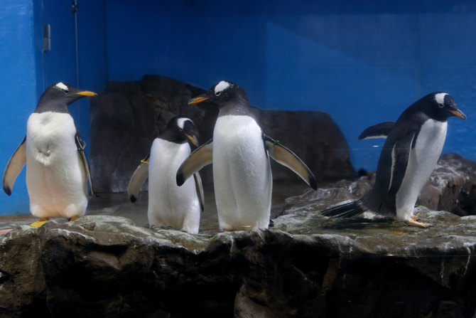 南知多ビーチランド