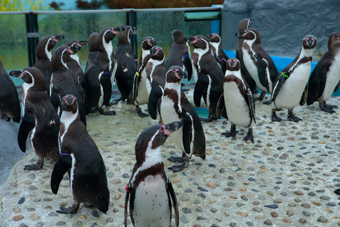 南知多ビーチランド