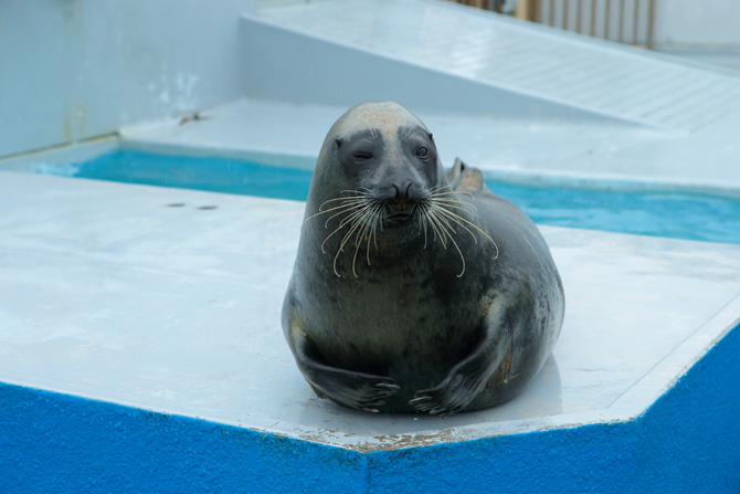 南知多ビーチランド