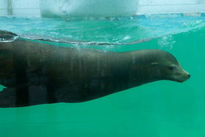 南知多ビーチランド