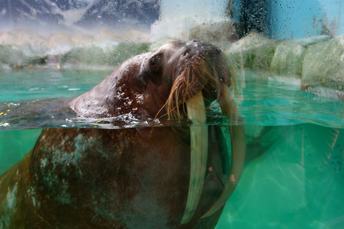 南知多ビーチランド