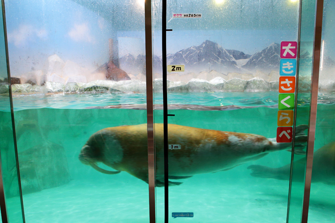 南知多ビーチランド