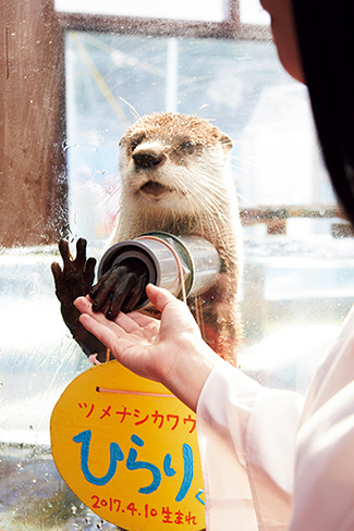 伊勢夫婦岩ふれあい水族館（伊勢シーパラダイス）
