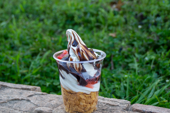 さがみ湖リゾート プレジャーフォレスト