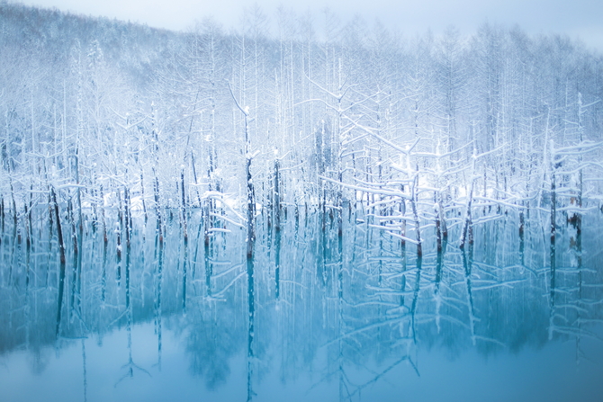 北海道