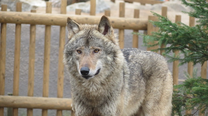 多摩動物公園