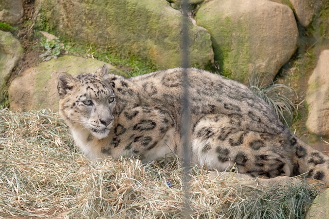 多摩動物公園