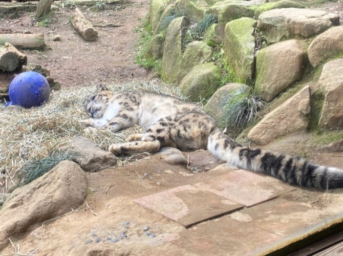 多摩動物公園