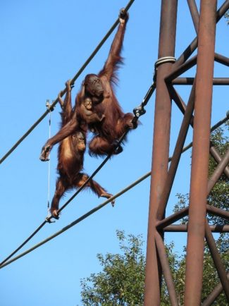 多摩動物公園